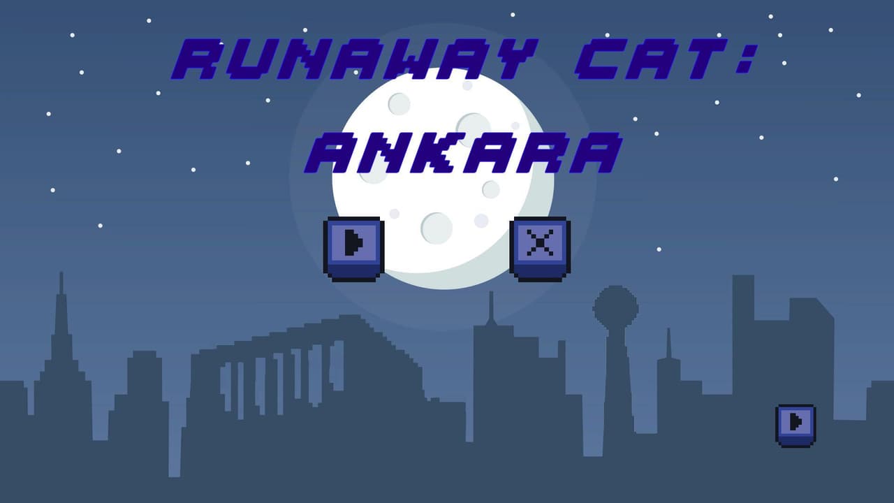 Runaway Cat: Ankara