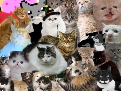 SpacE PonG ft. Cats
