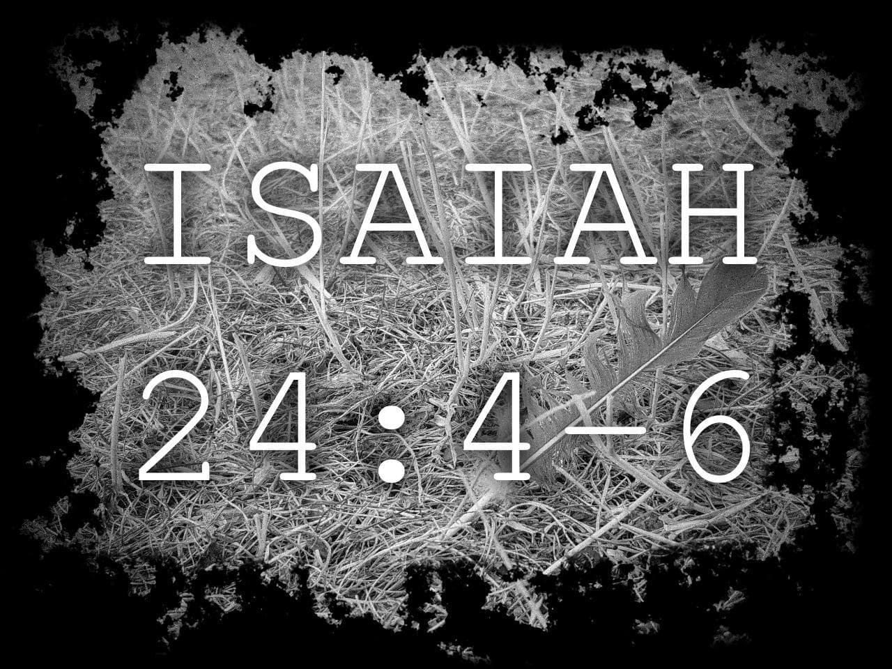 ISAIAH 24:4-6