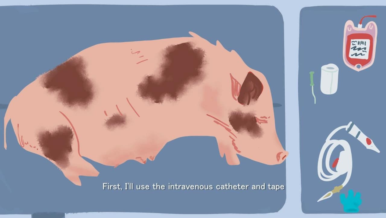 Veterinarian Story screenshot 2