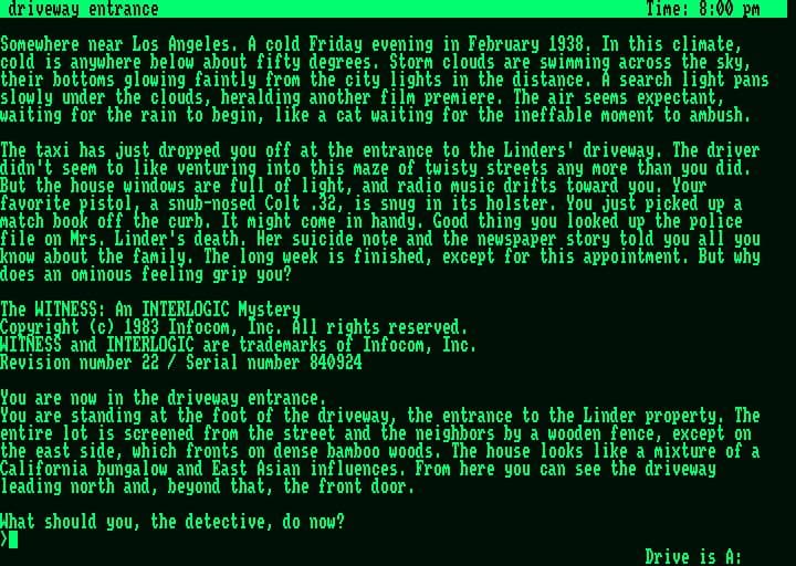The Witness (1983) screenshot 4