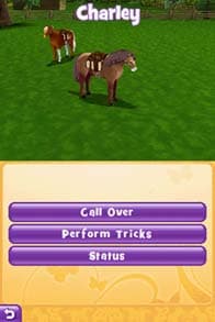 Pony Friends 2