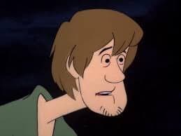 Shaggy modle