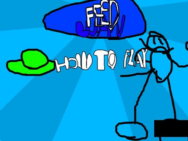 feed luan