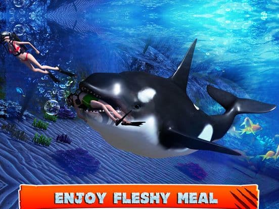 Killer Whale Beach Attack 3D screenshot 5
