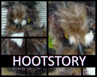 HootStory screenshot 2