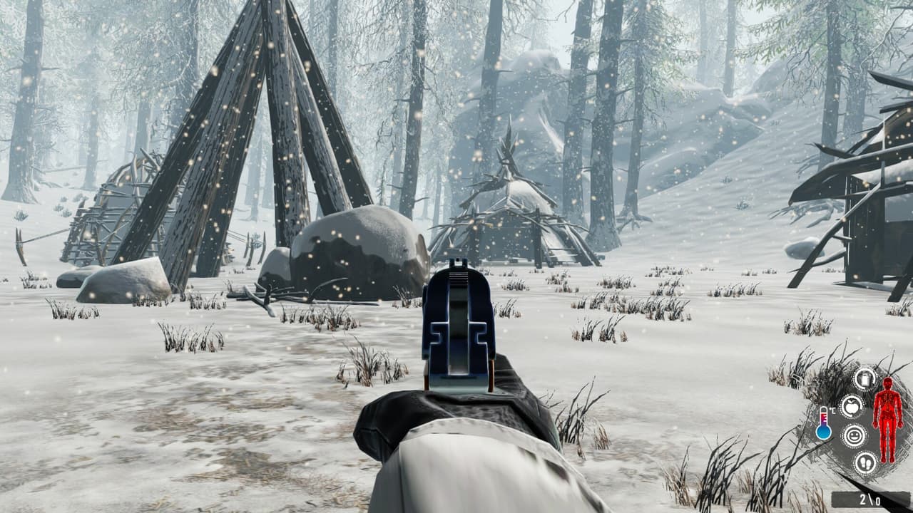 Snow Survival