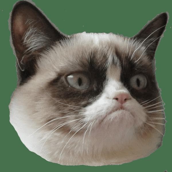 CAT RAIN screenshot 4