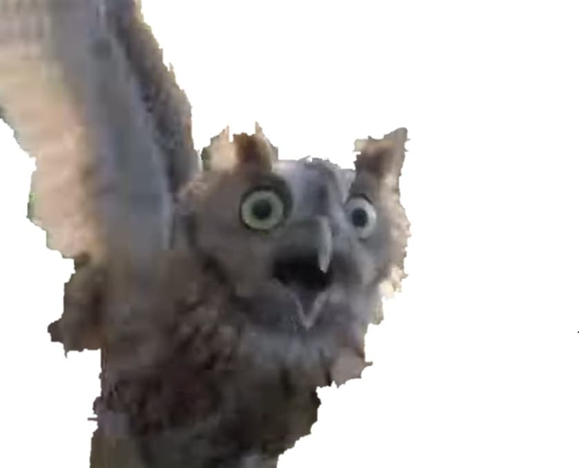 OWLCLICKER 2 0.3.3 screenshot 3