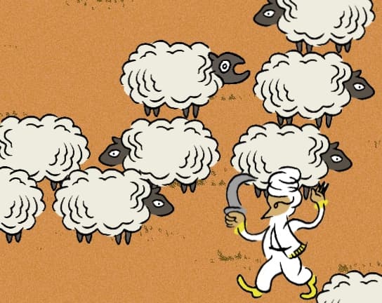The Sheep, the Berber & the freedom