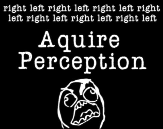 Aquire Perception
