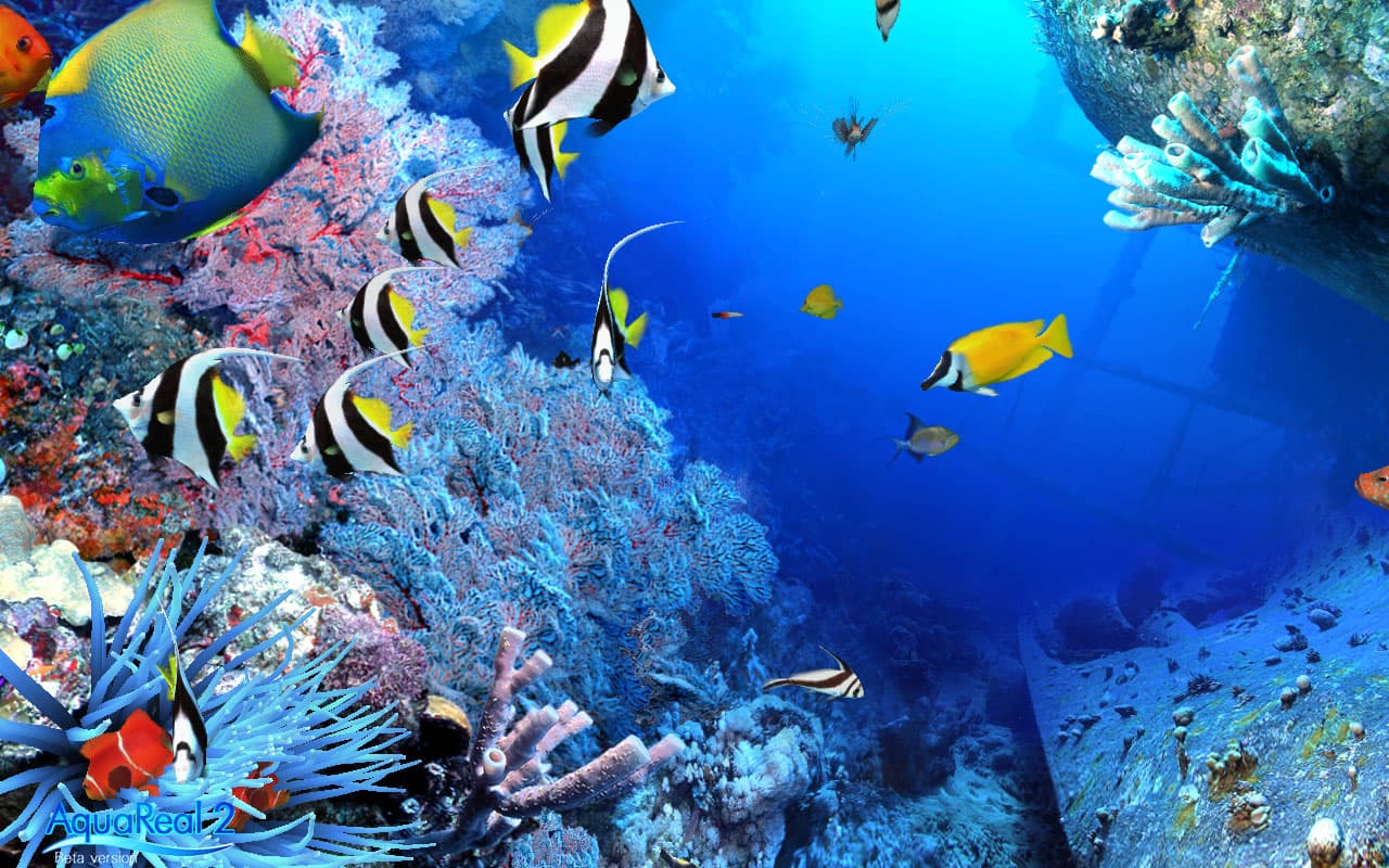 DigiFish Aqua Real 2 screenshot 6