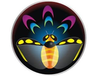 Beetle war