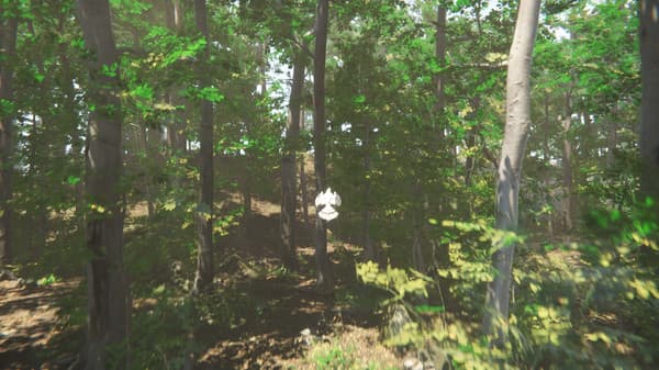 Bird screenshot 6