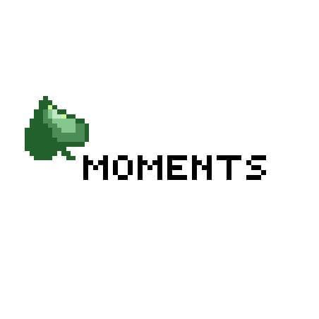 Moments (Persici)