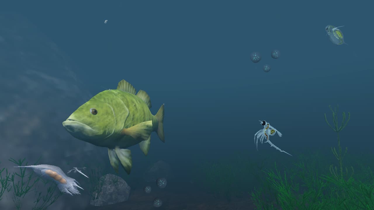 The Aquatic Messenger screenshot 5