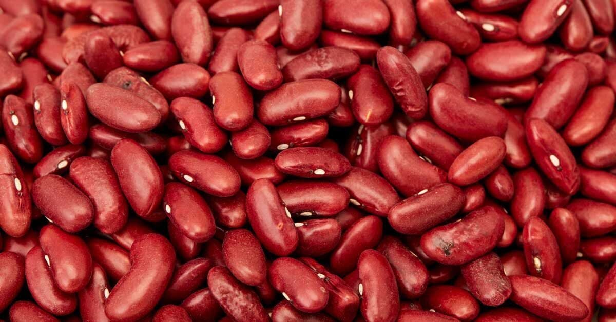 Mega Bean Parkour 2D