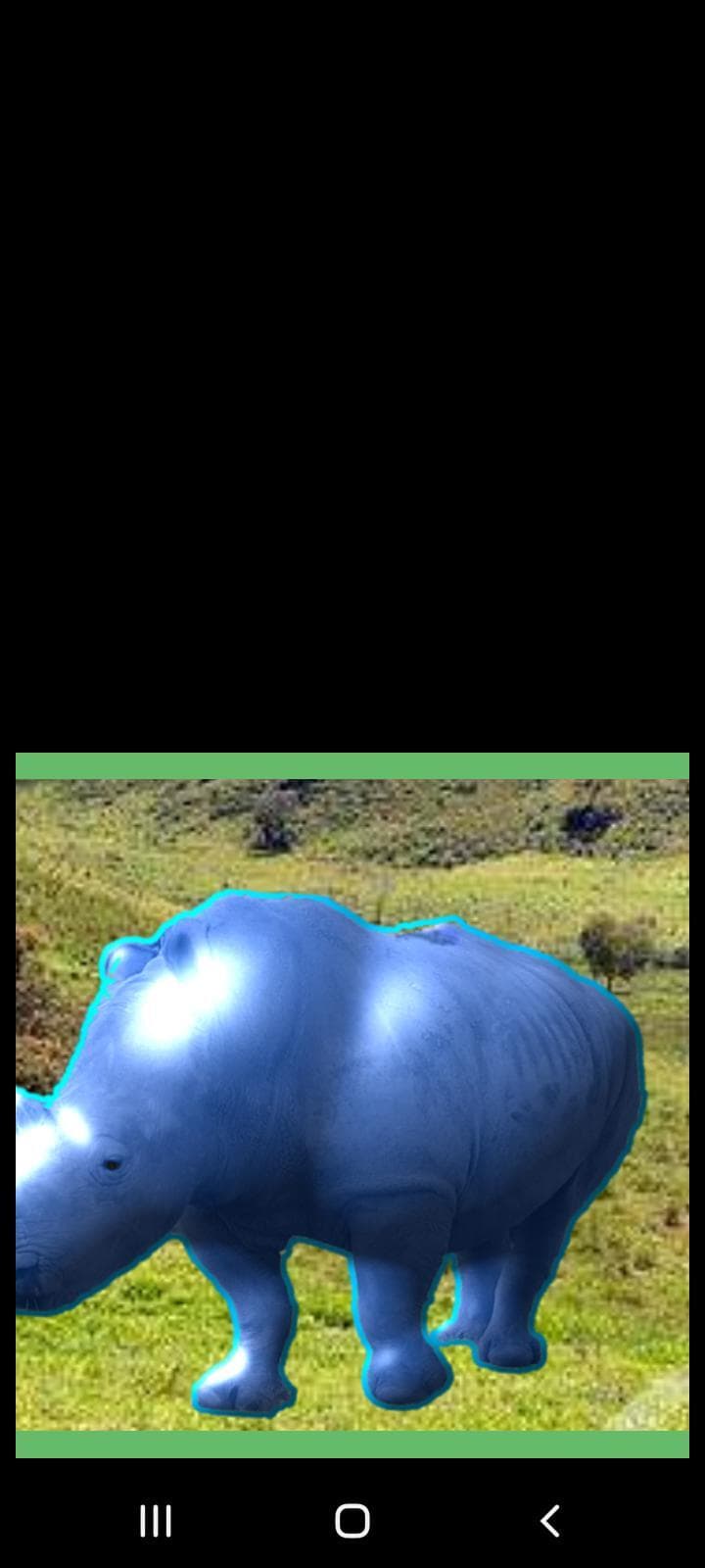 Rinozul