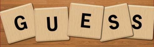 GuessTheWord