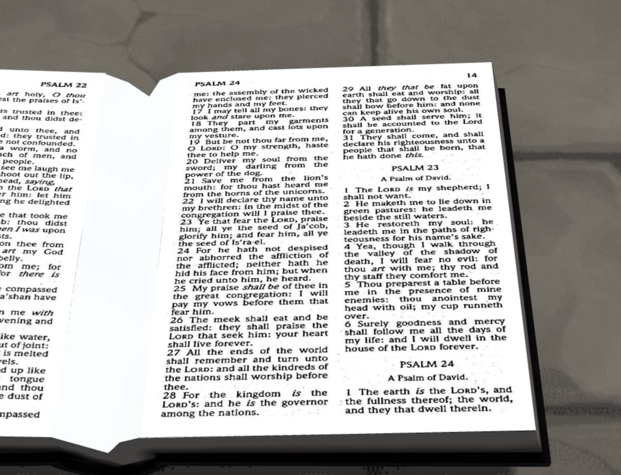 3D-Virtual-Psalm-Book screenshot 3