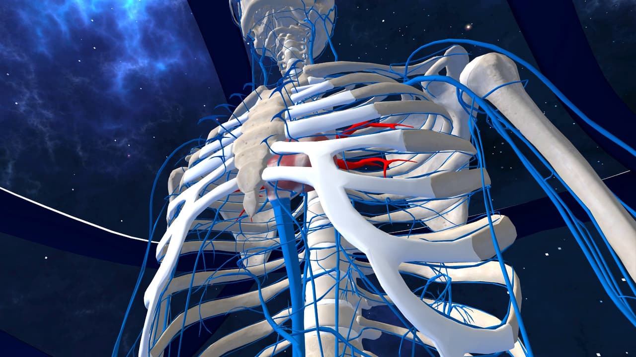 Human Anatomy VR screenshot 6