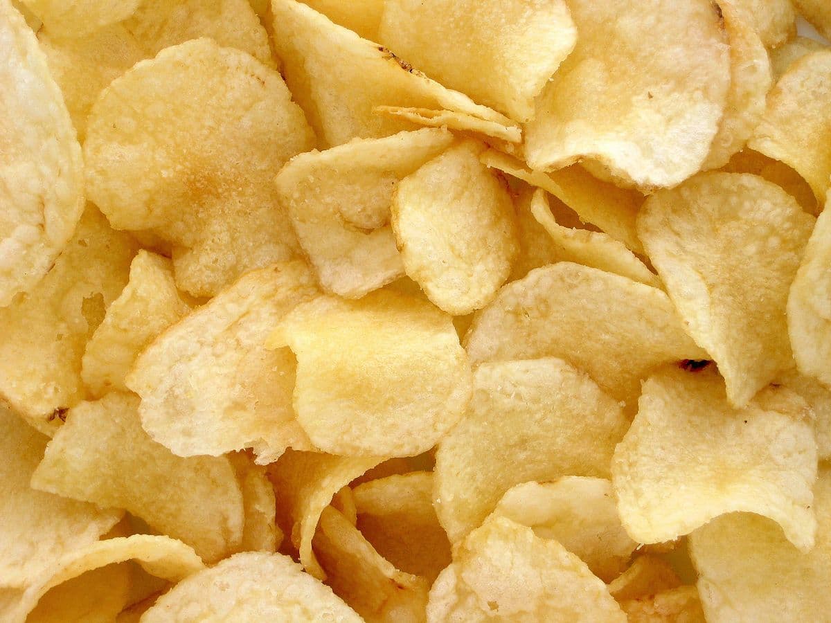 chips camp (beta 1)