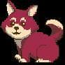 Silly Shiba