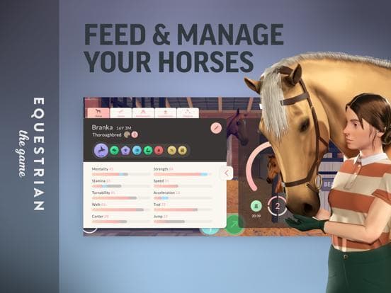 Equestrian the Game screenshot 5