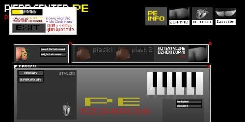PCNTER PE pre.0.22 screenshot 2