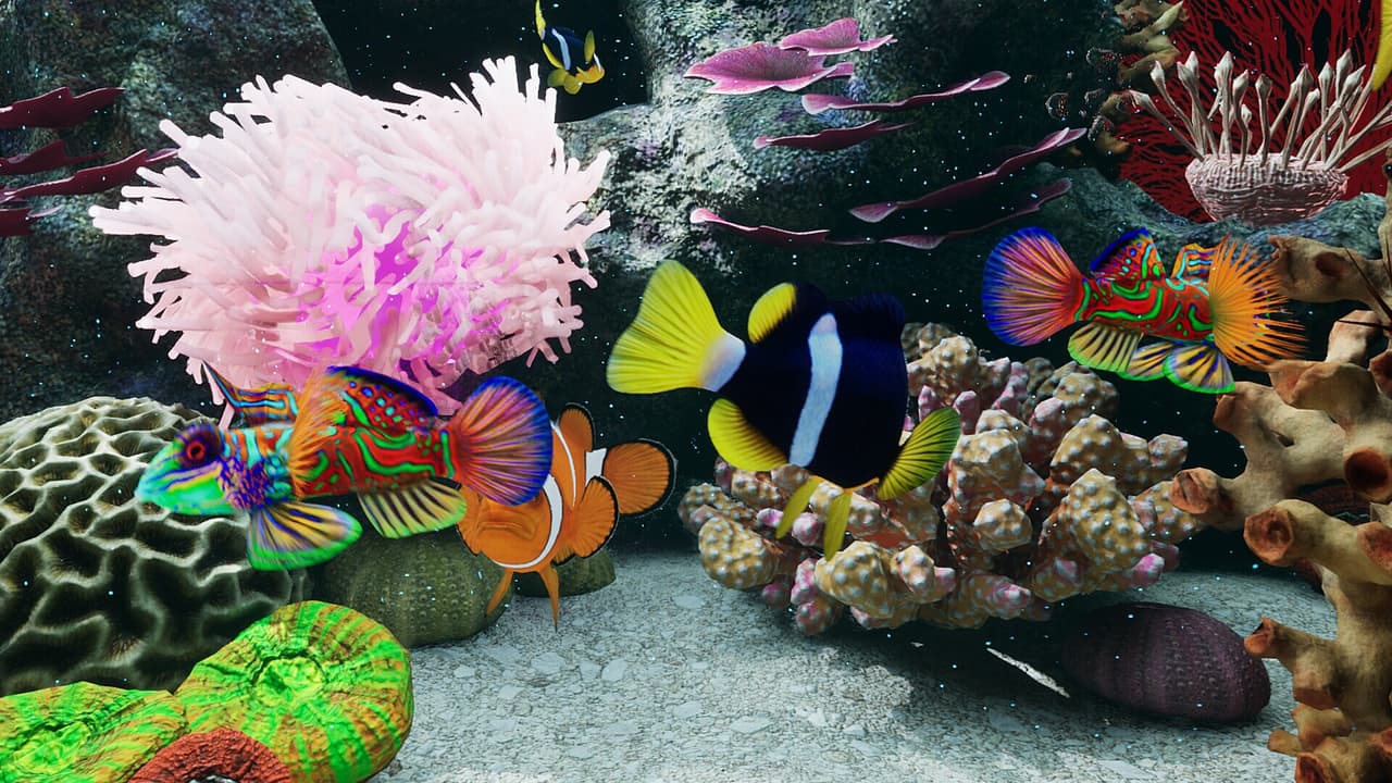 Sea Aquarium Screensaver screenshot 6