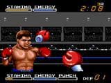 Digital Champ Battle Boxing screenshot 3