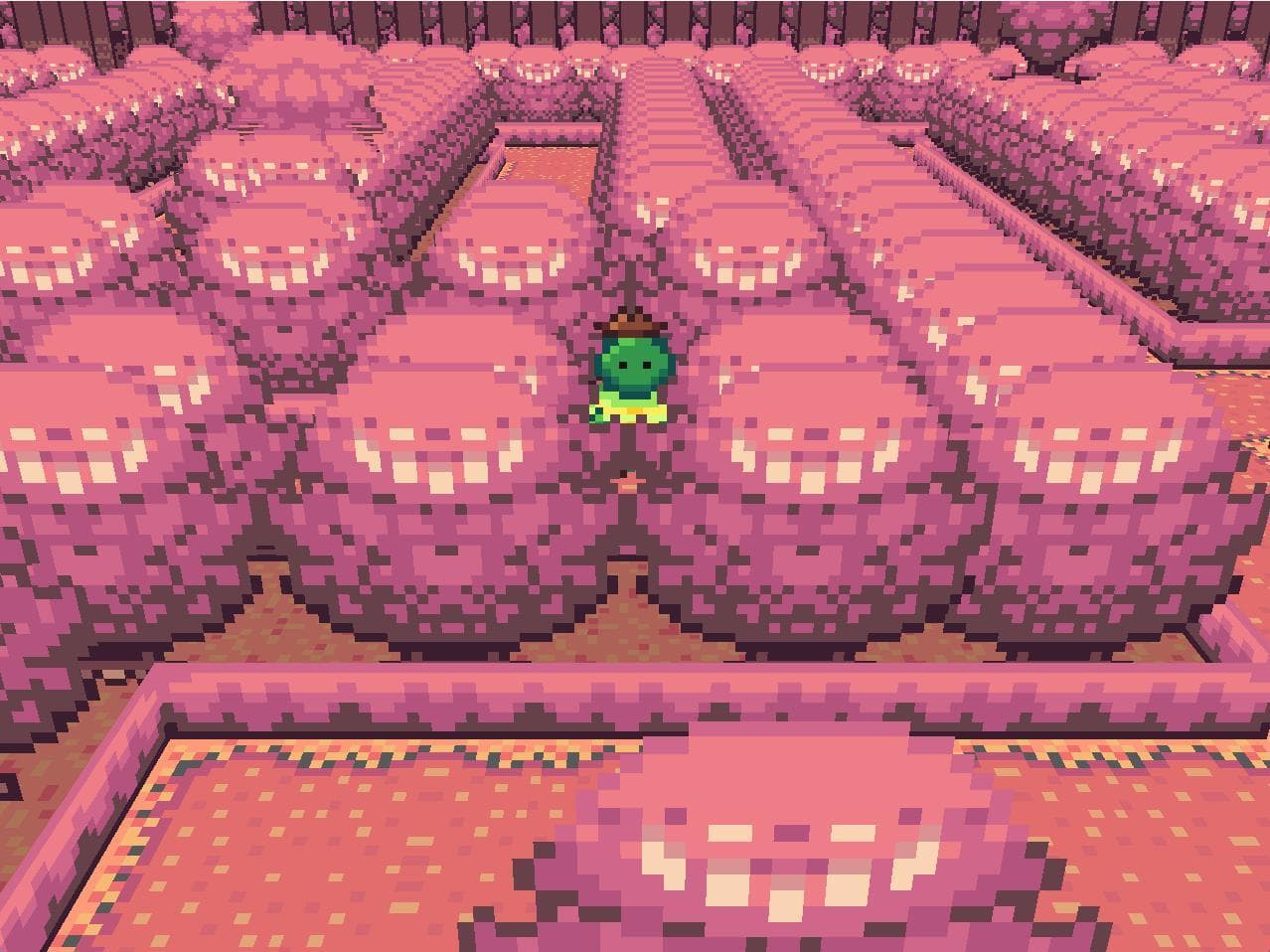 The Turtle With Cowboy Boots In: Turtle Town Roundup screenshot 3