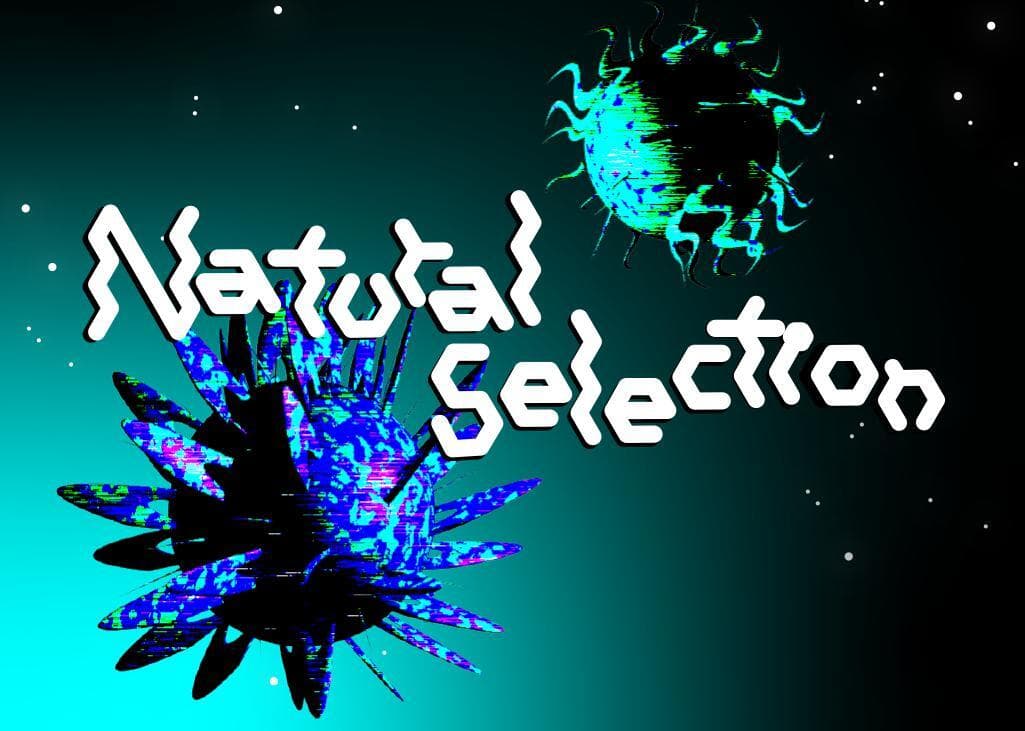 Natural Selection (talupo17)