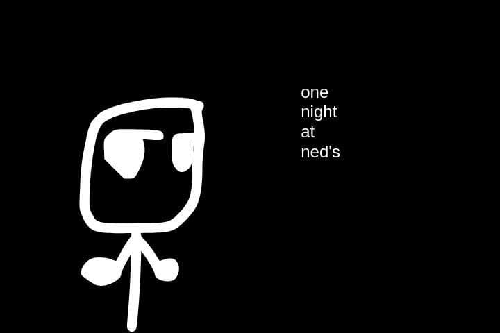 One Night At Neds