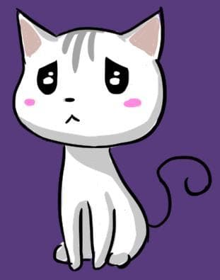 CAT REKT