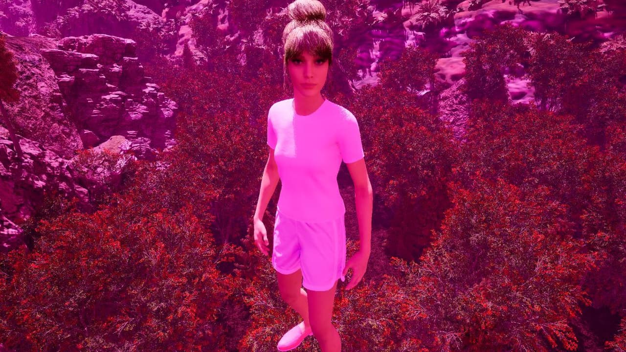Pink Castle World