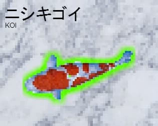 ニシキゴイ (koi)