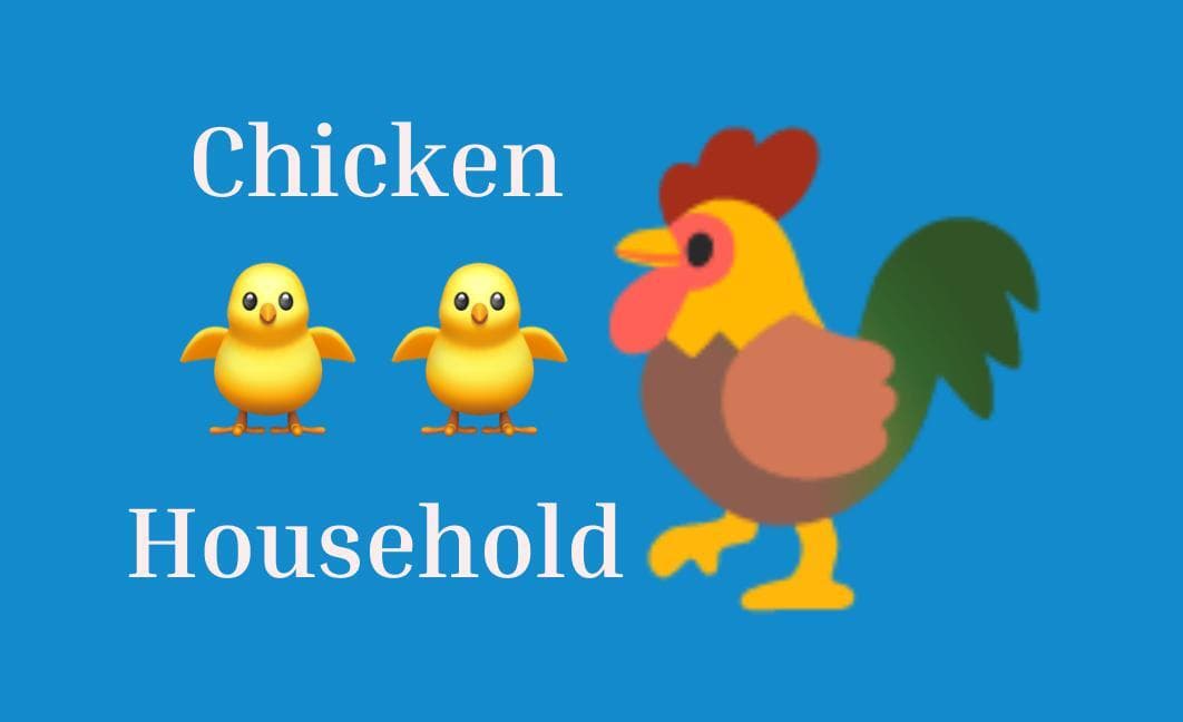 ChickenHousehold