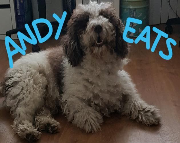 Andy Eats