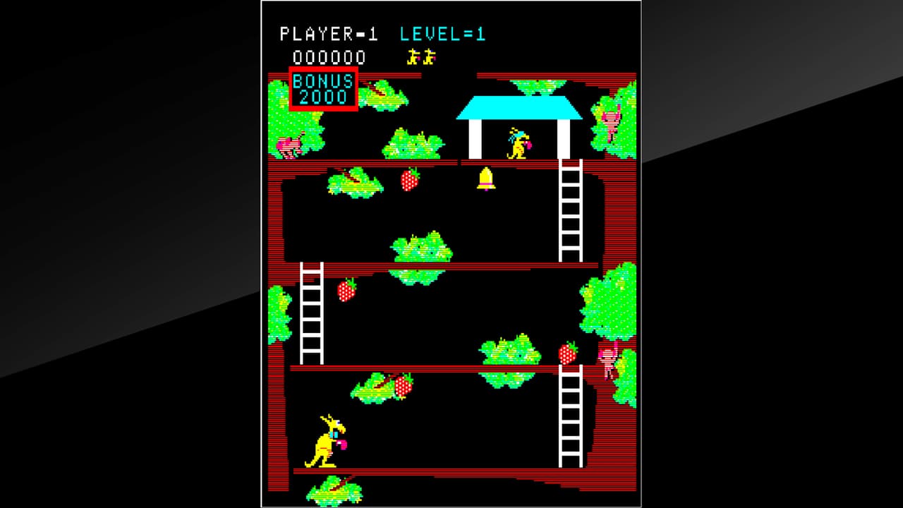 Arcade Archives Kangaroo
