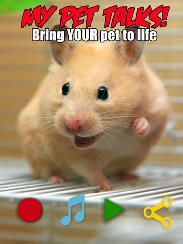 My Pet Talks!