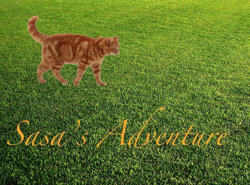 Sasas Adventure