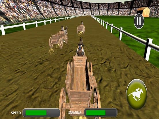 Real Horse Cart Champion