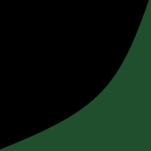 Radion (WildeRatel)