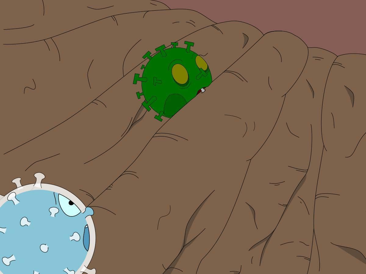 Microinvasión