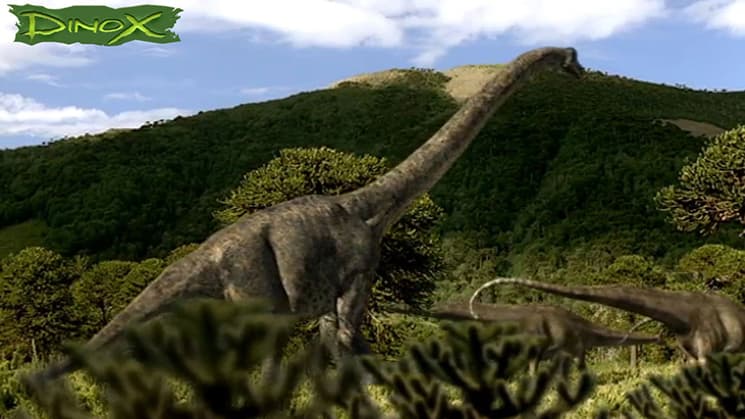 Dinox screenshot 3