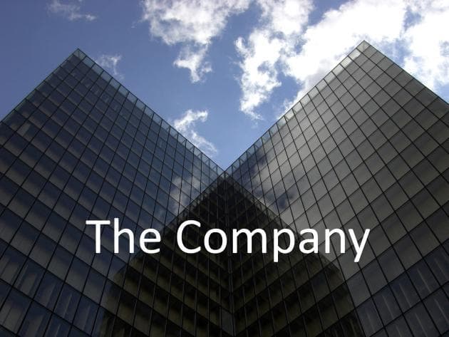 The Company