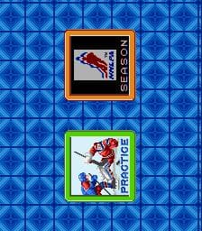 Pro Sport Hockey