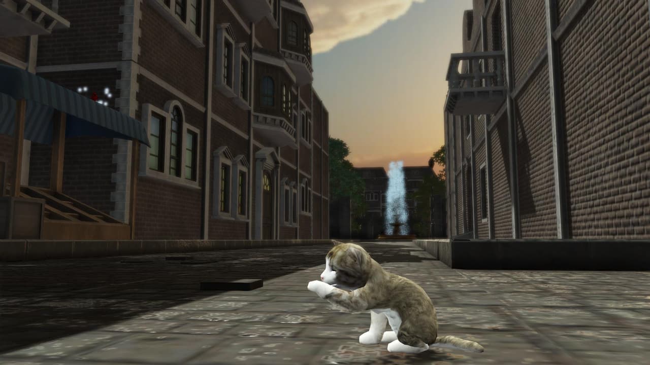 La nuit, tous les chats sont gris screenshot 2