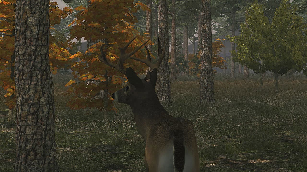 Deer Simulator screenshot 4
